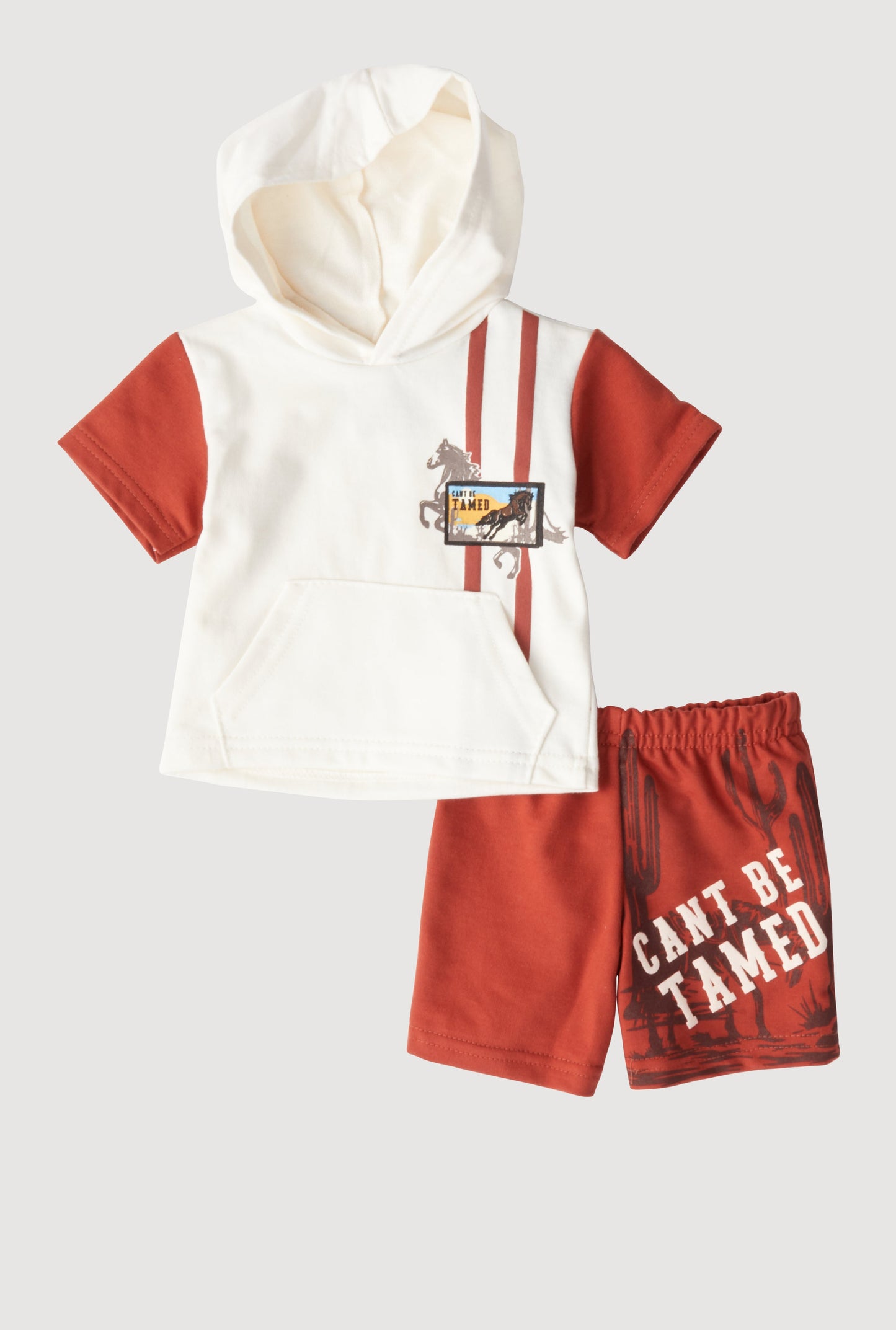Baby Boys 0-9M Horse Graphic Hooded Top and Shorts